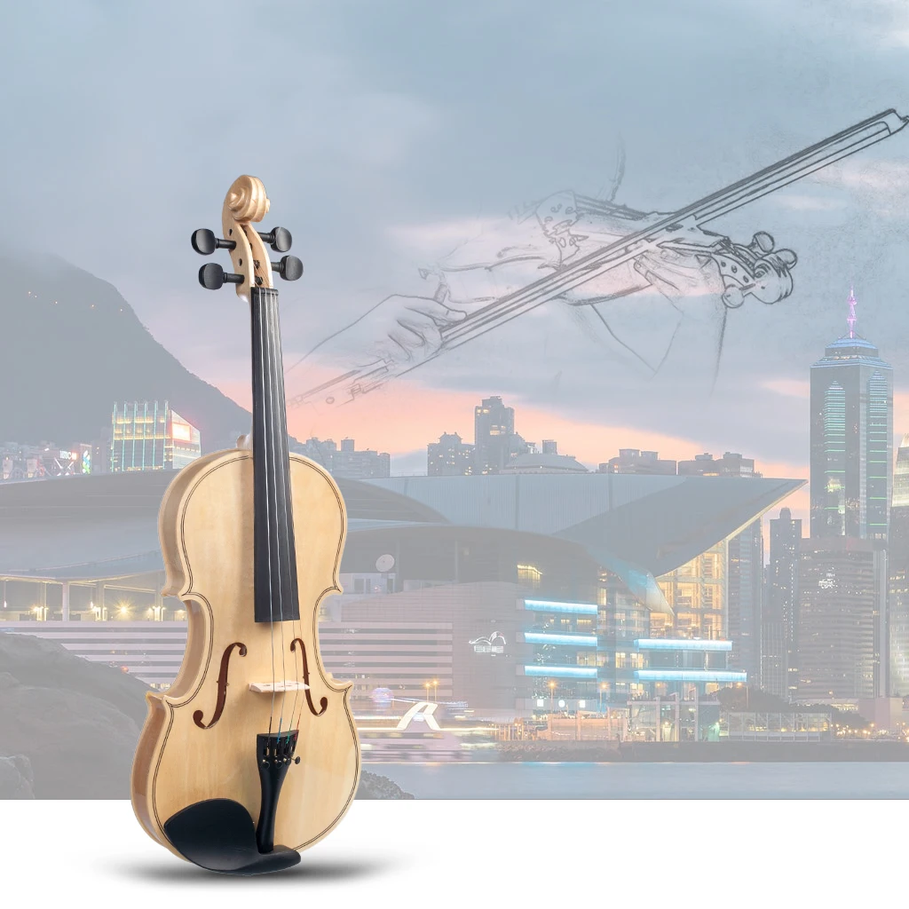 NAOMI 4/4 Acoustic Violin Set Basswood Plate W/ Brazilwood Bow+Rosin+Canvas Case Student Violin Beginner Use