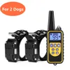 For 2 dogs Black