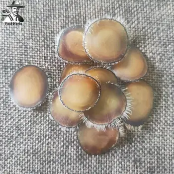 

Cartialgenous, Super Sika Deer Antler Slice, Cornu Cervi Pantotrichum, Lu Rong La Pian