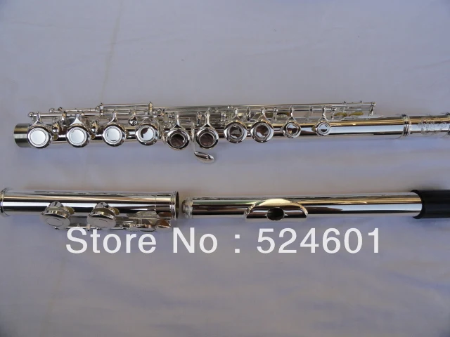 

Hot Free Shipping Brand SUZUKI16 Hole Silver-plated C Flute High Quality Musical Instrument E key Flute With Case