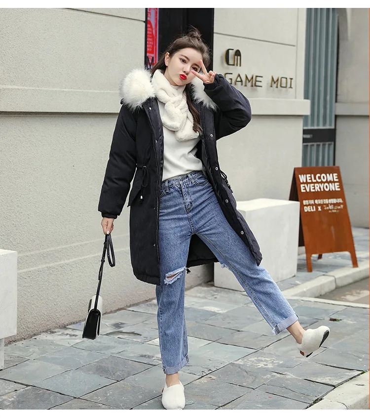 1_29_01.jpg