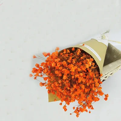 Сушеные натуральные Цветочные букеты естественные детские дышащие Цветочные букеты и детские дыхательные Цветочные булочки и сушеные булочки - Цвет: orange color