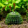 Aquarium Green Grass Plant Seeds Fish Tank