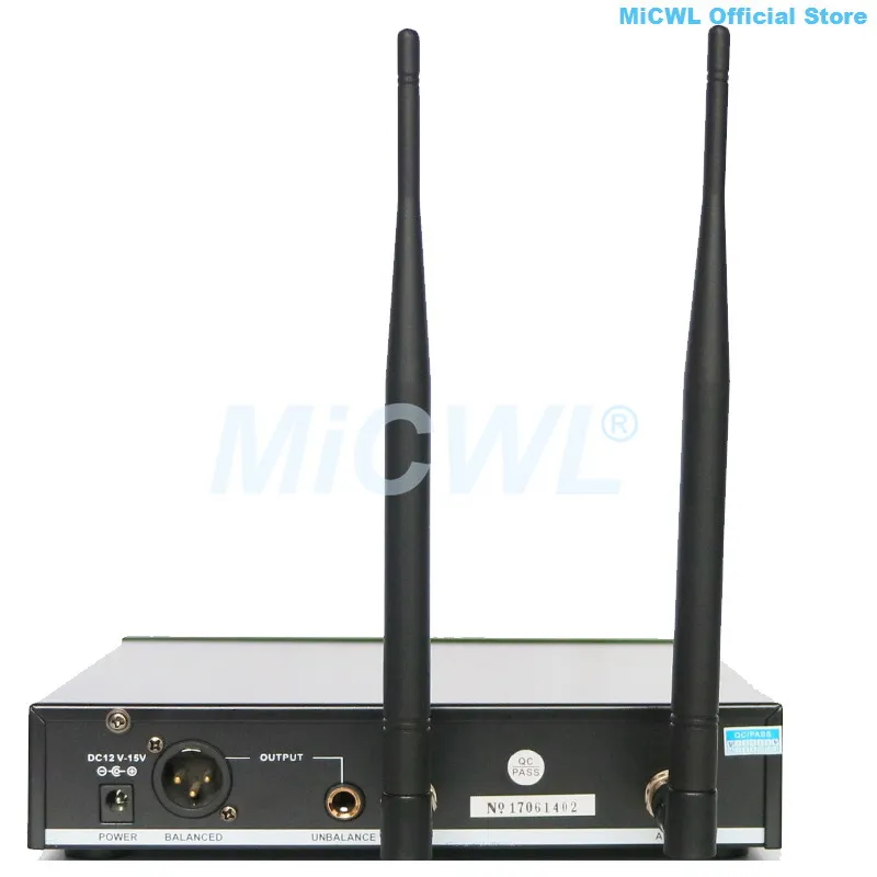 D100 Professional Audio Wireless Microphone System