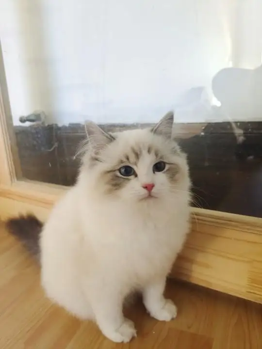 Buildking 漫画韩漫 在线免费阅读 咪哩咪哩