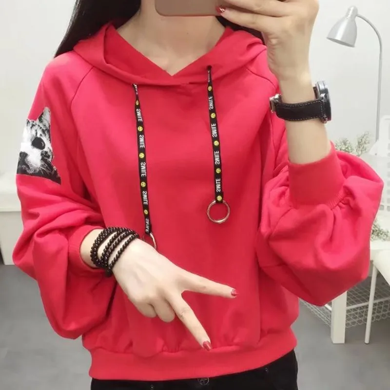 Милые кошки с длинным рукавом панк Толстовка Осень Зима harajuku kawaii толстовки