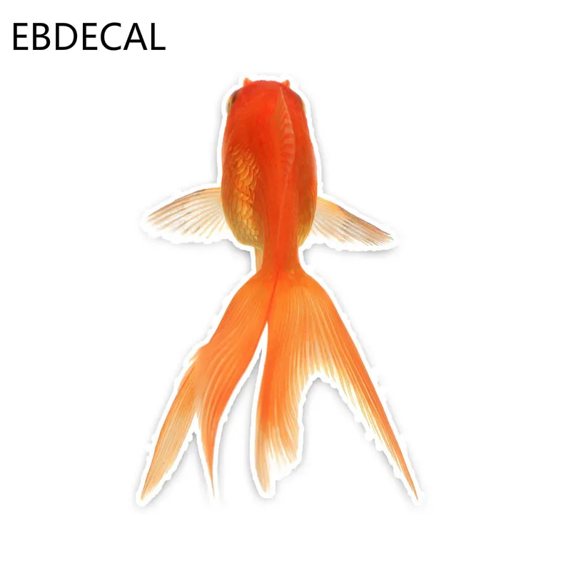 EBdecal Red Goldfish Car Bumper Window Wall Suitcase Decal Sticker Decals DIY Decor CT7448 | Автомобили и мотоциклы