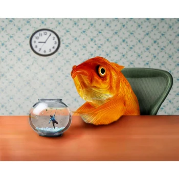 

DIY Painting By Numbers A Fish Out Of Water Kit Oil Picture By Numbers Animals Wall Art Painting on Canvas Home Decoration Gift