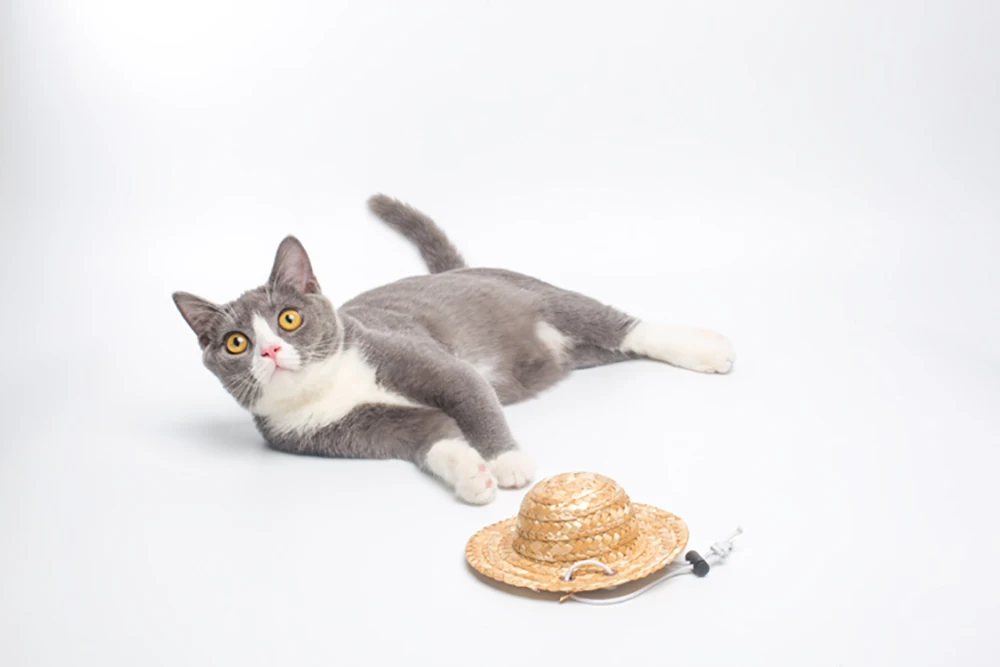 Summer Hawaiian Style Pet Dog Drop Small Cap Hat Sunbonnet Straw Photo Ship Sombrero Outdoor Accessories Props