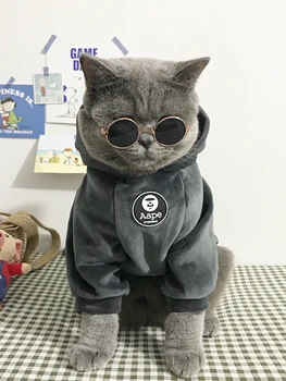 

Pet Dog Clothes Autumn and Winter Clothes Cat Warm Cat Clothes In Winter Lovely Funny Sanitary Clothes BB5WY02
