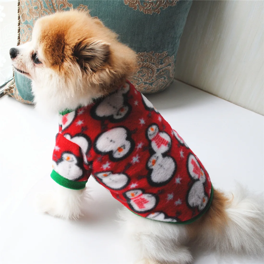 Unique Sweaters For Dogs - The Popular Clothes This Winter