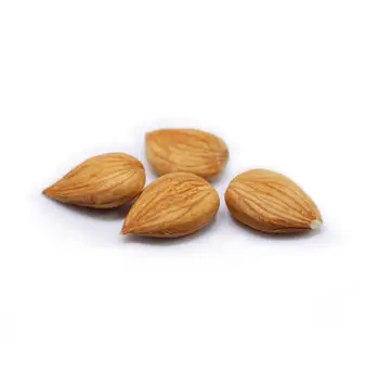 

Drop shipping almond 500g Fresh Bitter Apricot Kernels (with coatings,Organic)