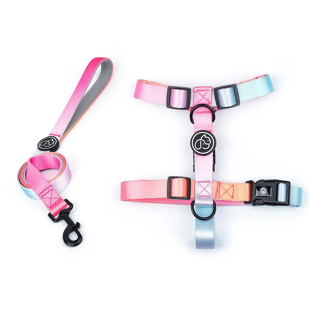 Gradient color Dog Collar and Leash Set dog luxury desgin harness for small medium and large dog harness and leash personalizedGradient color Dog Collar and Leash Set Adjustable dog vest harness no pull for small medium and large dog harness and leash dog chain collar Dog Collars