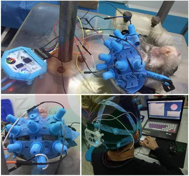 New EEG Cap  Full Dry Electrode