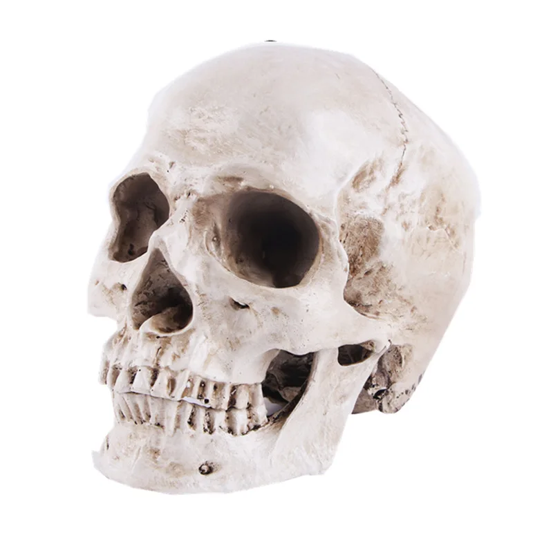 

1:1 Skeleton Skull Model Sculpture Ornaments Pattern Skull Resin Crafts Teaching Home Bar Death Symbol Art Skeleton Decoration
