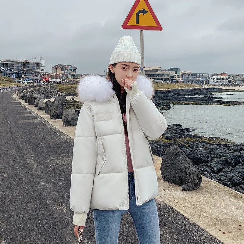 

2019 Winter Short Parka Womens Jackets New Arrival Fashion Women Jacket Cotton Padded Warm Thicken Ladies Coats With Fur Collar