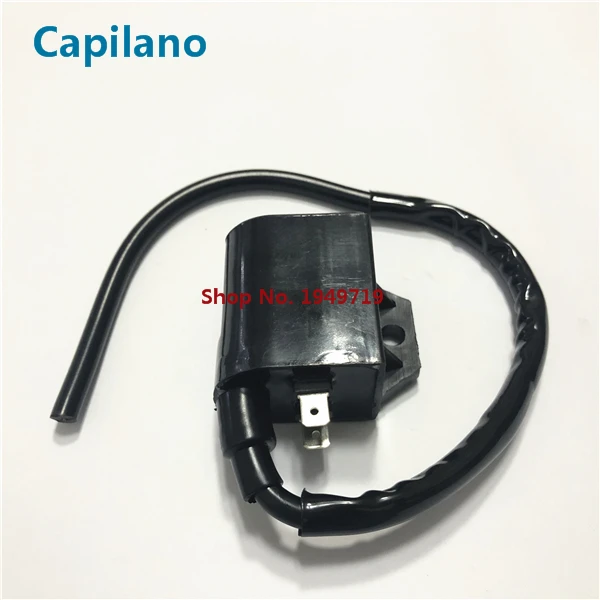 Мотоцикл Скутер elecrtric катушки зажигания AG100 V100 AG50 для Suzuki 50cc 100cc AG V 50 100 запчасти