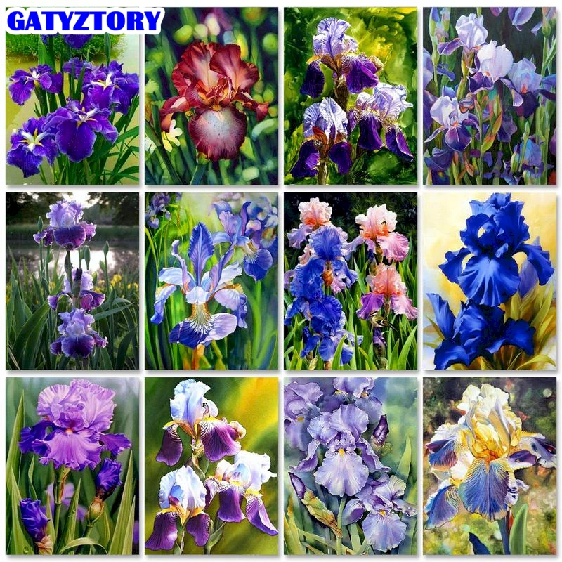 

GATYZTORY DIY Paint By Number Canvas Painting Kits Flower Art 40x50cm Pictures By Numbers Iris Unique Gift Home Wall Artwork