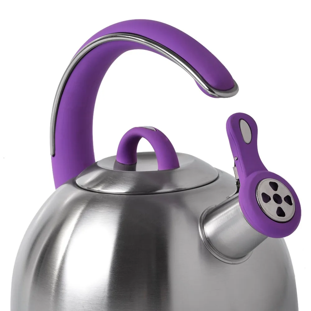 2.6L tea kettle whistle coffee maker stainless steel induction kettle