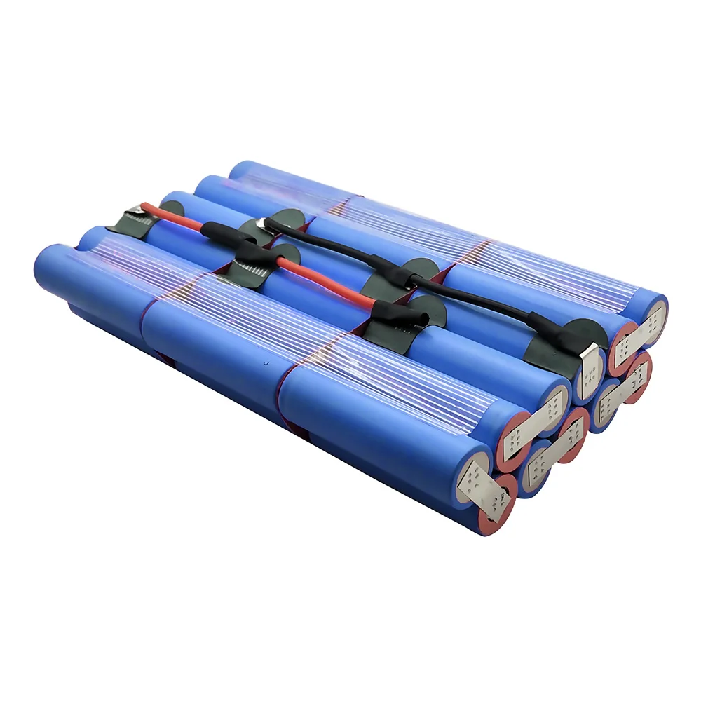39.6V 9Ah Per Bionx 3333-G10297083 11S3P Bm 18650Z1 Gew 10-W23 12326 F089575 Wisper Batteria Li-Ion E-Bike Bicicletta Elettrica