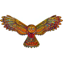 

New Artwork Wooden Puzzle Rainbow Flying Owl 6 Styles Irregular Shape Toy Luxury Brand 3D Jigsaw Game Gift for Friend Kids XML