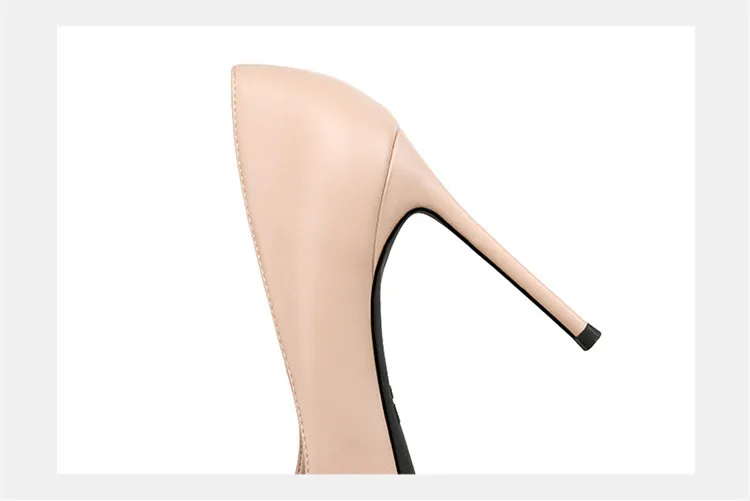 12209021787_2058027479