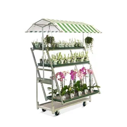 Cabriolet Convertible Cart Garden Metal Danish Trolley Transportation in plants