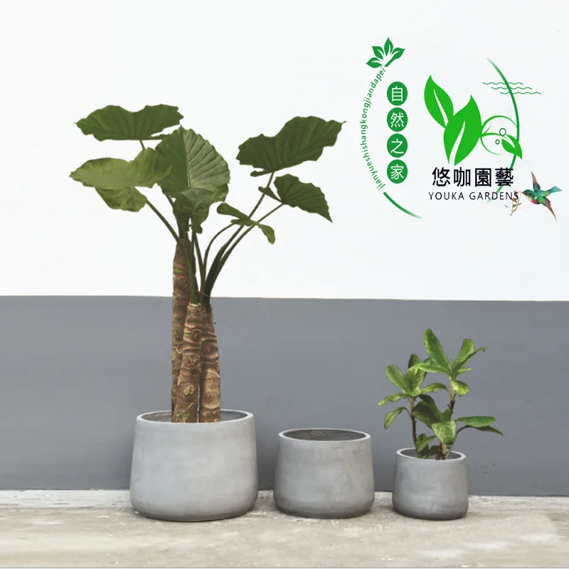 

Youka-Leisurely Coffee Horticulture Creative Cement Flowerpot Circle Simple Northern European-Style Landscape Art Handmade Magne