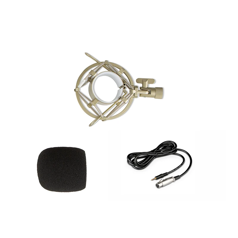 U87 Mic Kit Studio Recording Condenser Mic For