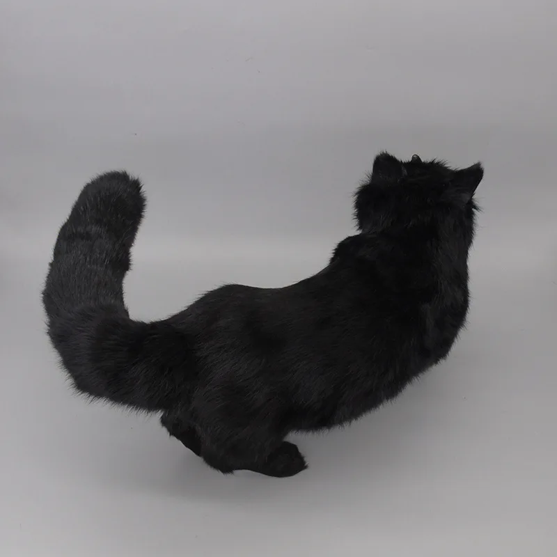 3621699671_167231638