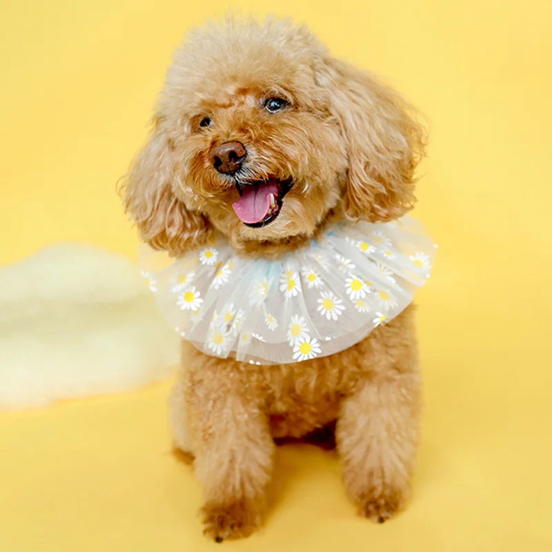 雏菊纱围嘴_0236