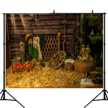 

Lyavshi farm wooden house haystack doll flowers photography background