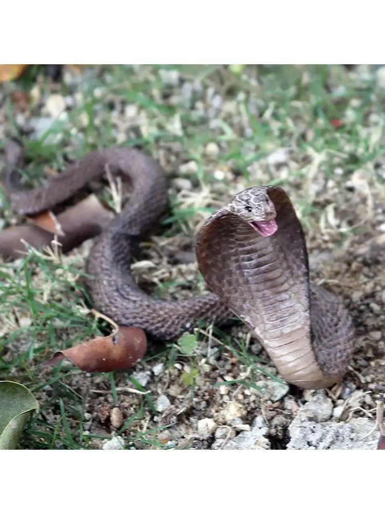 Serpiente de goma de simulación realista, juguete de jardín, broma realista, regalo, accesorios de fiesta de Halloween para espantar pájaros WXTD