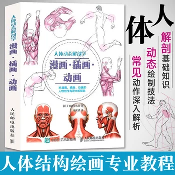 

Human Anatomy Sketch Drawing Techniques Encyclopedia Anime Human Body Structure Hand Painting Book Teaching Painting Books
