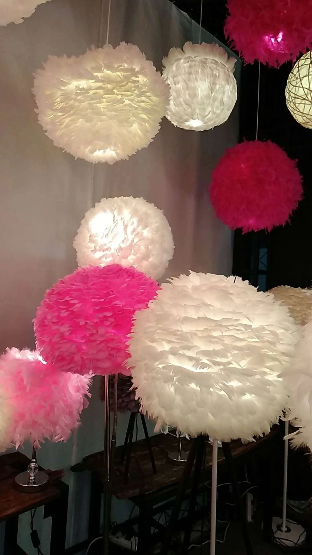 8817527570_1950745065