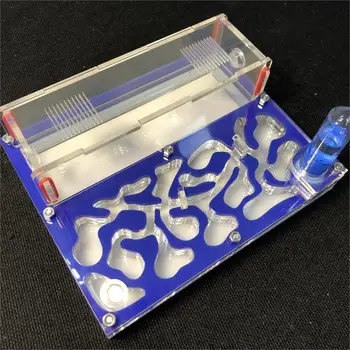 

150mmx110mm Test Tube Moisture big space Ant Nest Ant Farm Acrylic Insect Ants Villa House Ants Ecological Workshop