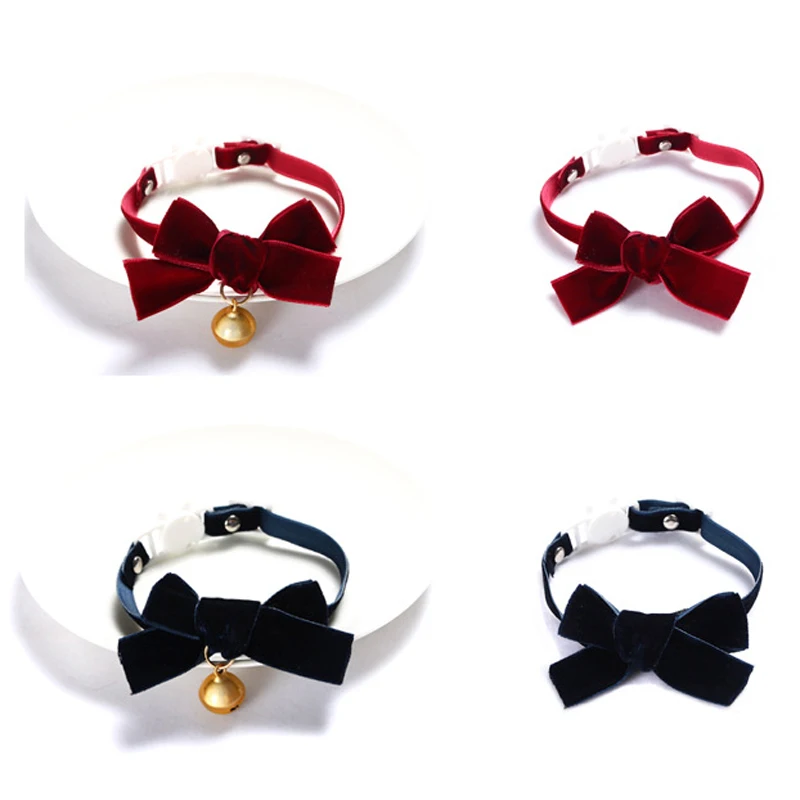 13950343902_1199050608