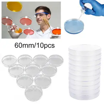 

Disposable Petri Dishes Professional Multifunctional W/Lids 10pcs/Bag Pre-Sterile School Sterile Petri Dishes Plastic One-Time
