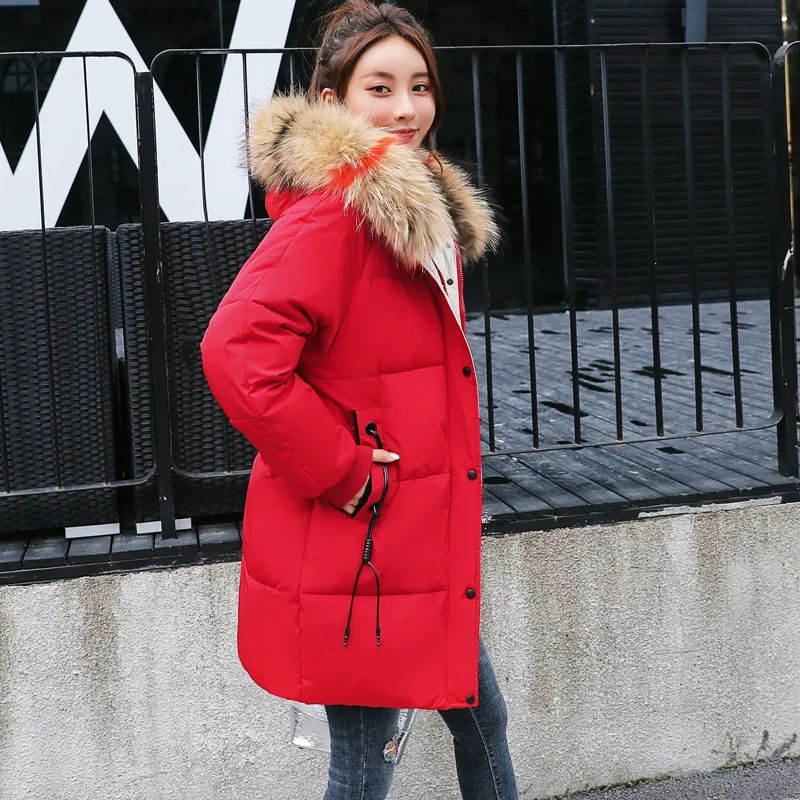 

2019 Winter New Style down Jacket Cotton-padded Clothes Korean-style Mid-length Hooded Loose-Fit Padded down Coat Cotton-padded