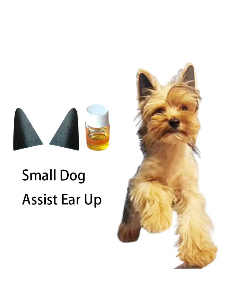 How Do You Get Glue Off A Dogs Ear