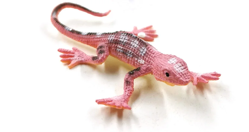 详情页-12款-彩色蜥蜴等_10