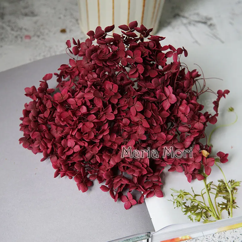 Anna Hydrangea  Flowers  Little  Leaves Preserved Hydrangea Decor  Office Decor  DIY Flowers