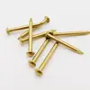 10/100pcs Diameter 1.2mm 1.5mm 2mm 2.8mm Pure Copper Brass Small Mini Round Head Nail for Furniture Hinge Drum Jewelry Chest Box ► Photo 3/6