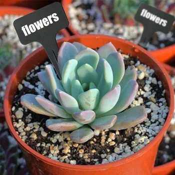 

100pcs Insert Vegetable Tags Black Blank Plaque Writing Filling Garden Markers PP Plastic Plant Labels T Type Waterproof Anti UV