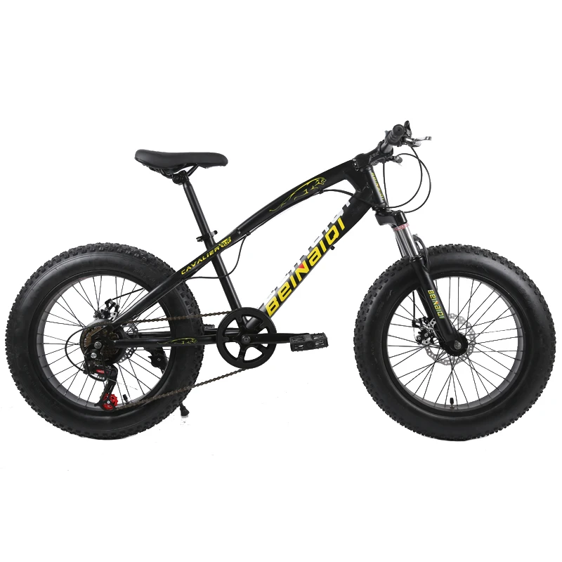 fat tyre kids bike