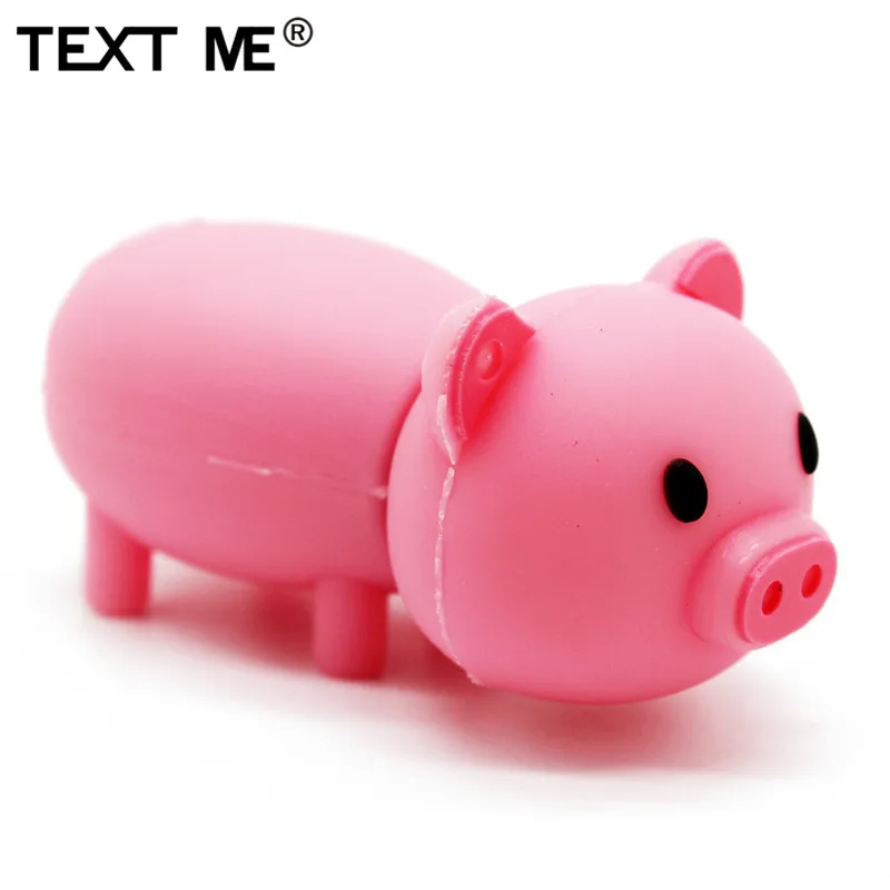 Usb флеш накопитель TEXT ME 64 Гб 4 цвета с милой Свинкой nodel usb 2 0 ГБ 8 16 32 ГБ|USB