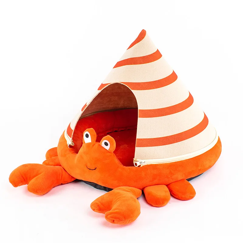 hermit crab