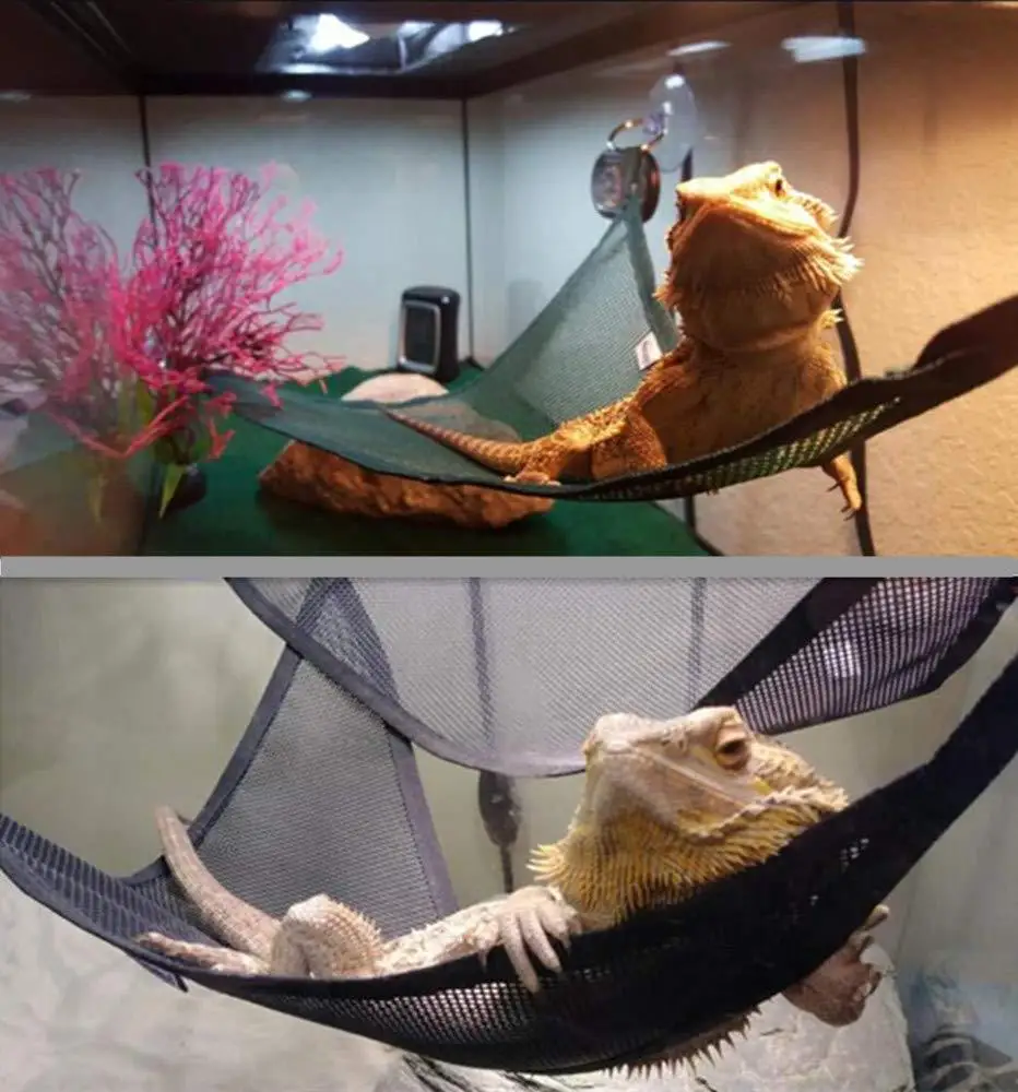 2 Pcs/Set Pet Hammock Mesh Sleeping Bed Play Toys Swing Oxford Fabric For Reptile Snake Lizard Climb Products With Suction Cup | Дом и сад