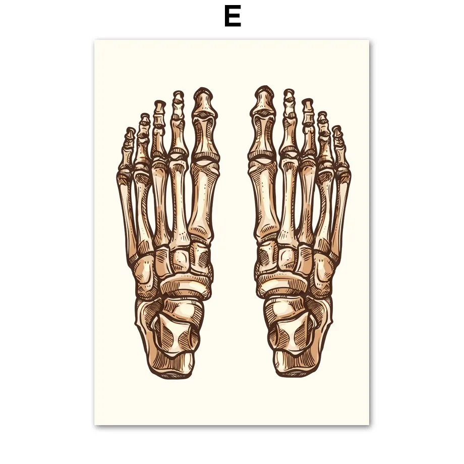 Lungs-Finger-Skull-Bone-joint-Human-Anatomy-Vintage-Wall-Art-Canvas-Painting-Nordic-Posters-Prints-Wall (7)
