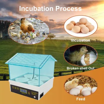 

Digital 4/7/9/12 Eggs Capacity Incubator For Egg Broedmachine Chicken Duck Quail Birds Egg Hatcher Electronic Incubator Tools M